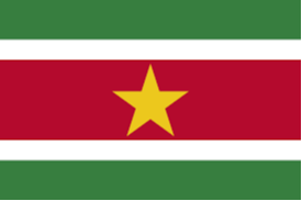 Suriname U17 队徽